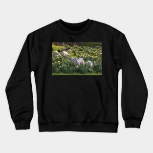 Spring Lambs #1 Crewneck Sweatshirt